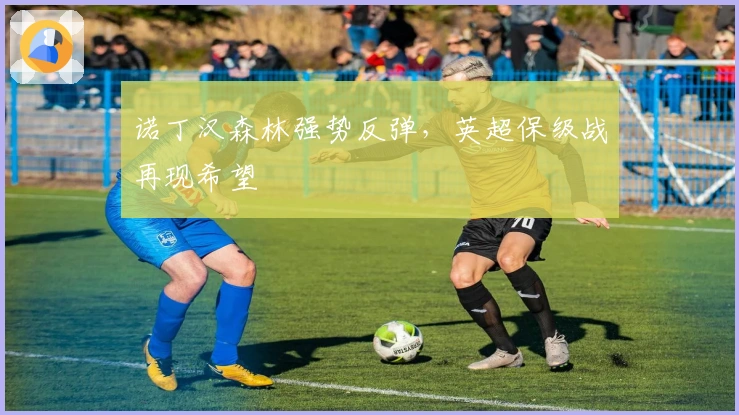 诺丁汉森林强势反弹，英超保级战再现希望